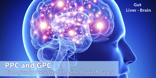 Choline: Your body's preferred source