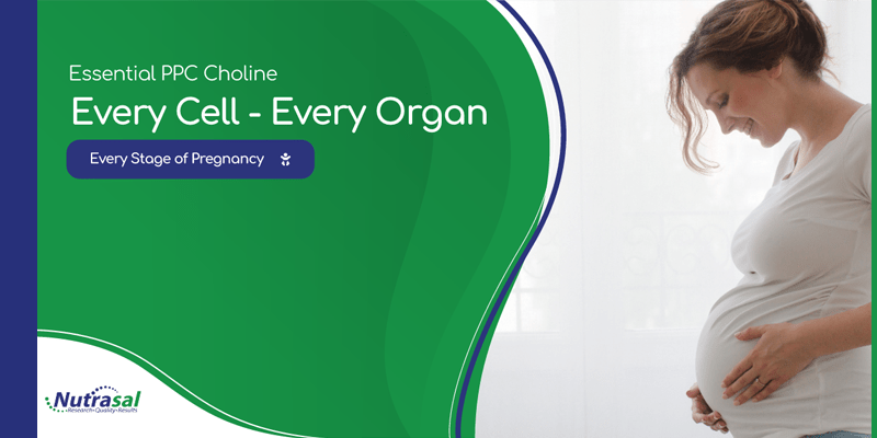 Built on PPC: For Every Stage of Pregnancy - Nutrasal