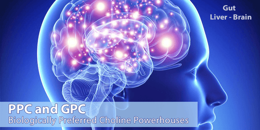 Choline’s Best Sources: Why PPC and GPC Are Superior Forms - Nutrasal