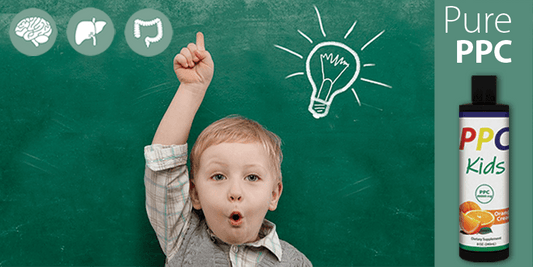 Is PPC the Missing Ingredient? - Nutrasal