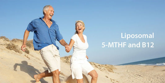 Lipozome B Complex with 5-MTHF - Nutrasal