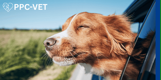 PhosChol PPC-VET: Liver Health, Vitality & Anti-Aging for Pets - Nutrasal