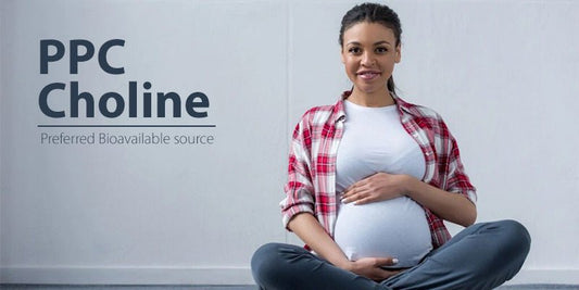 PPC Choline for Pregnancy and Lactation - Nutrasal