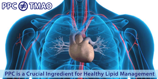 PPC Does Not Raise TMAO - Nutrasal