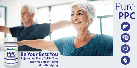 PPC is Best for Healthy Liver Function - Nutrasal