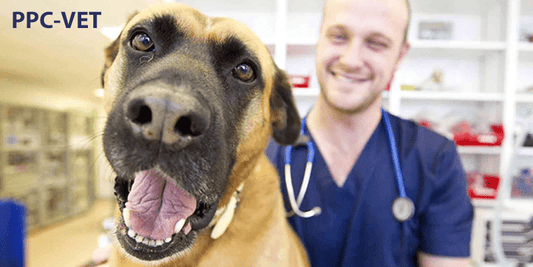 PPC-VET Recommended by Vets - Nutrasal