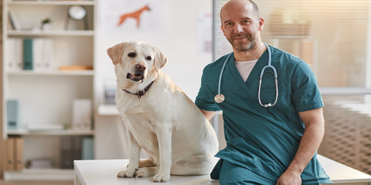 PPC Vet: Clinically Proven Liver Support for Pets