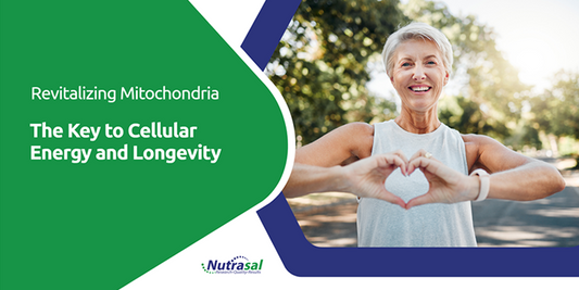 PPC and Mitochondria Energy and Longevity