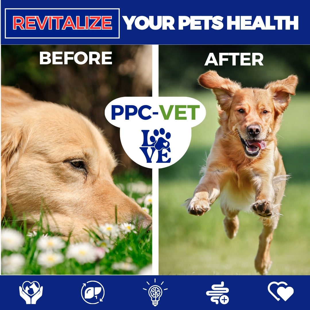 PhosChol PPC VET - Premium Veterinarian Approved Phosphatidylcholine Health Supplement for Dogs and Cats