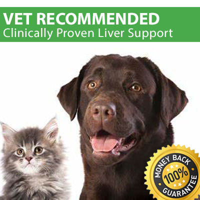 PhosChol PPC VET - Superior Pharmaceutical Grade, Veterinarian Recommended Liver Support