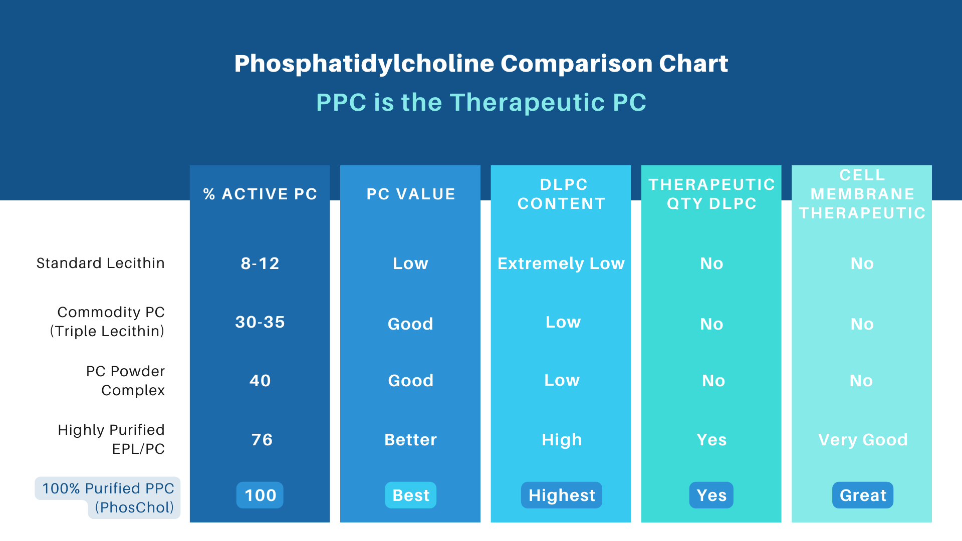 PhosChol 600 120ct. Veggie Cap Pharmaceutical Grade PPC For Cellular Repair and Healthy Gut, Liver, Brain Function - Nutrasal