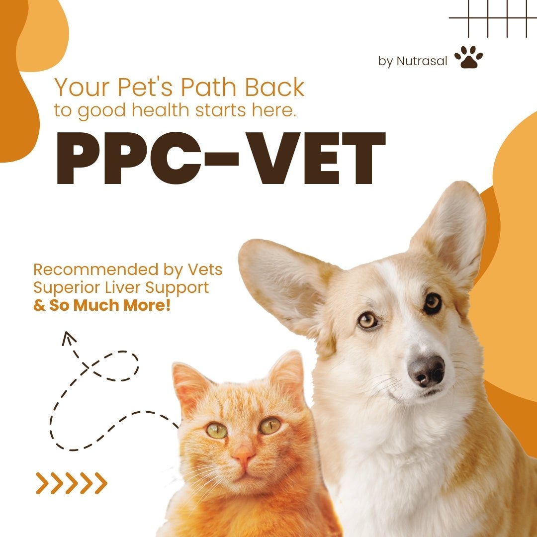 PhosChol PPC VET - Advanced Pet Health Solution, Veterinary - Approved Liver Support - Nutrasal