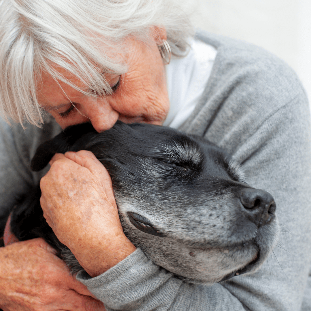PhosChol PPC VET - Advanced Pet Health Solution, Veterinary - Approved Liver Support - Nutrasal