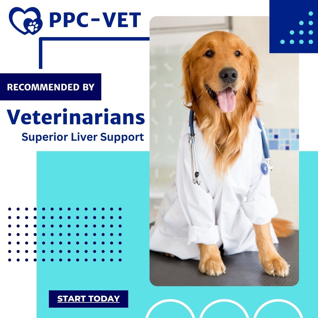 PhosChol PPC VET - Advanced Pet Health Solution, Veterinary - Approved Liver Support - Nutrasal