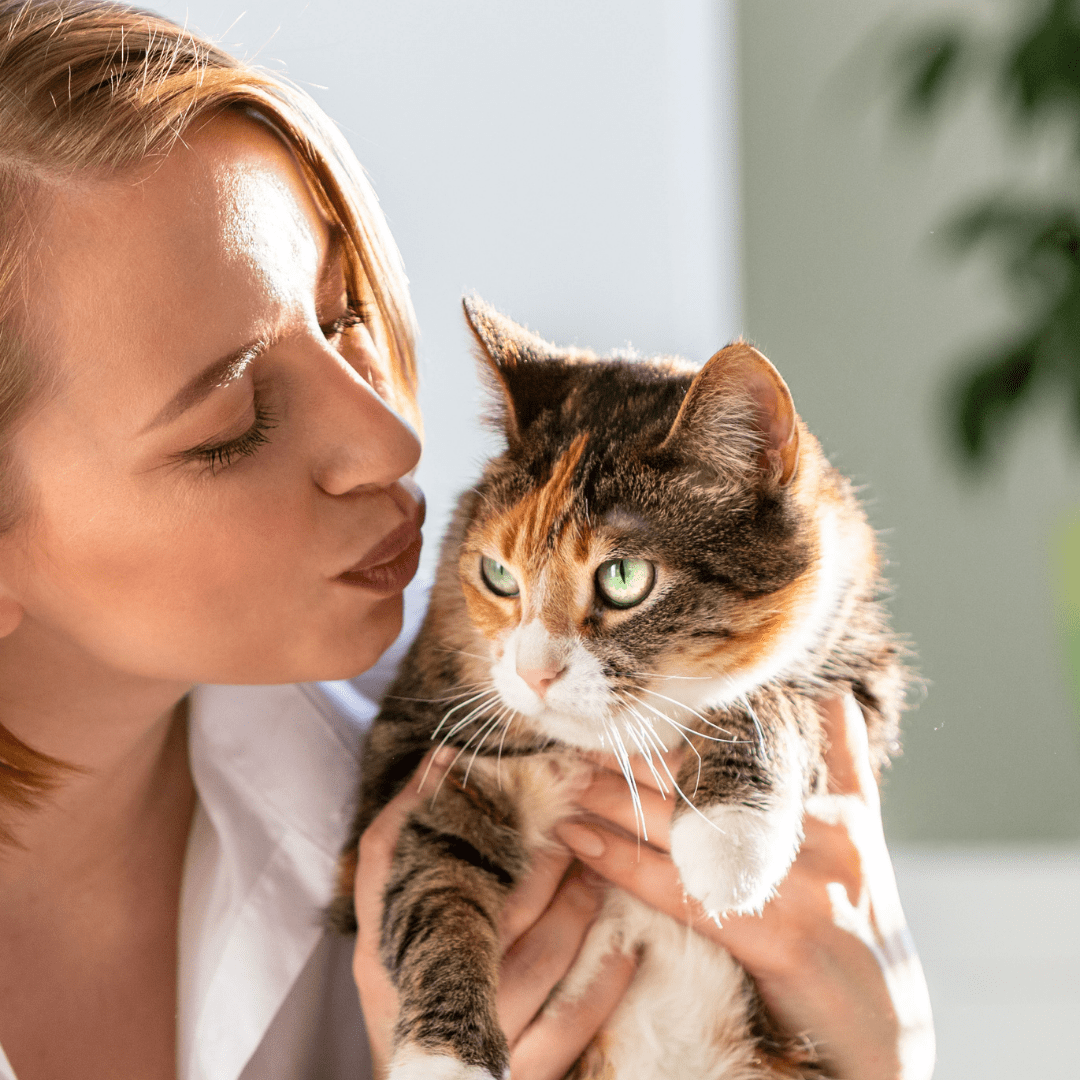 PhosChol PPC VET - Advanced Pet Health Solution, Veterinary - Approved Liver Support - Nutrasal