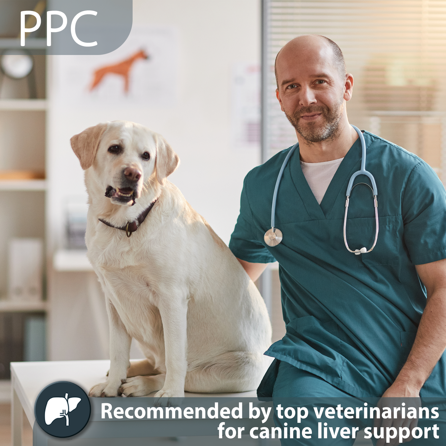 PhosChol PPC Vet for pet health, liver support and aging brain and neurological process.