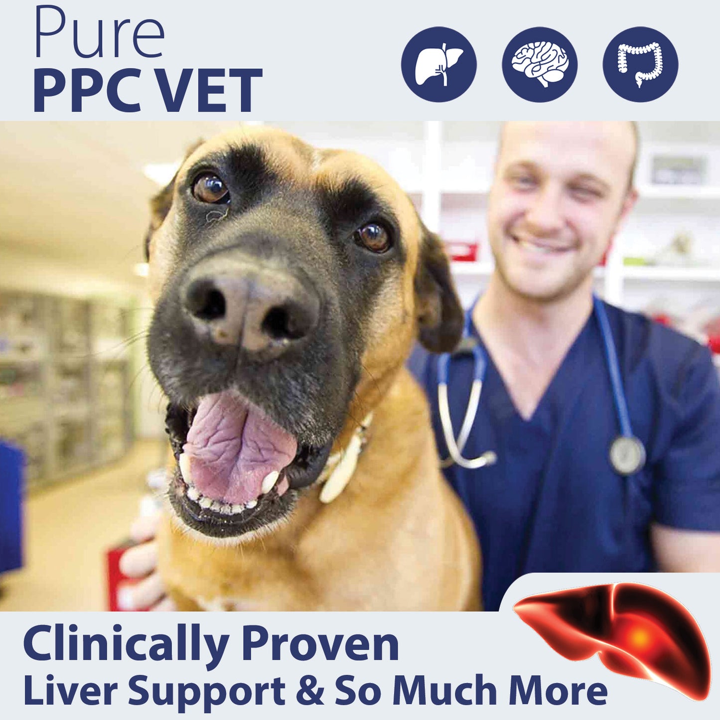 PhosChol PPC Vet for pet health, liver support and aging brain and neurological process.