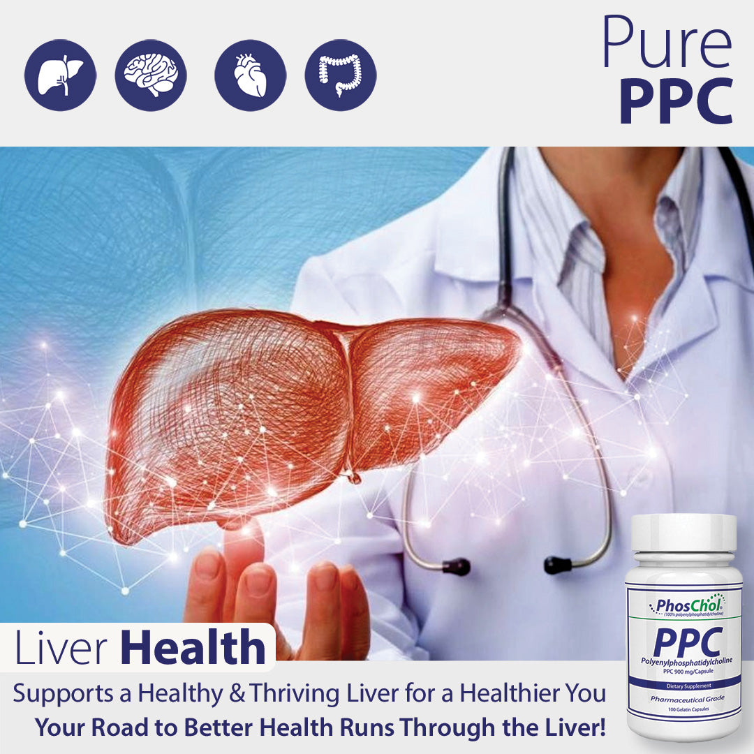 PhosChol PPC Kids Liposomal Orange Cream for Liver Detox and Repair