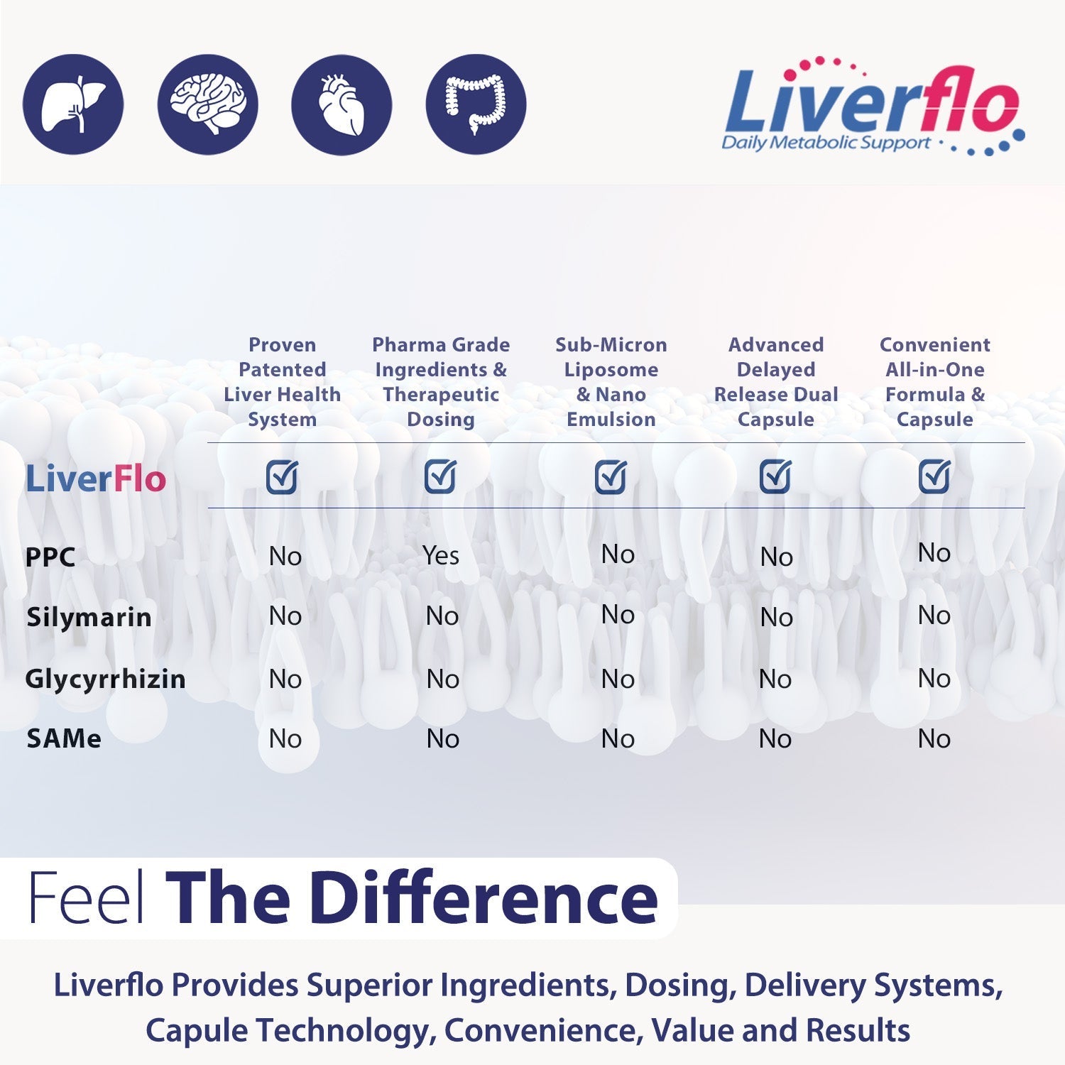 LiverFlo 4 in 1 Essentials with Liposomal B complex vitamins including 5 - MTHF, B12 as Methylcobalamin, Biotin, and L - Carnitine - Nutrasal