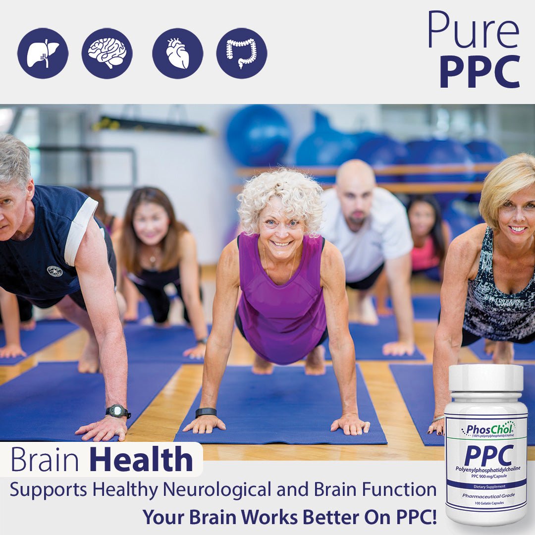 Ppc Grad PPC for Long COVID: Supporting Recovery, Energy, and Cellular Health