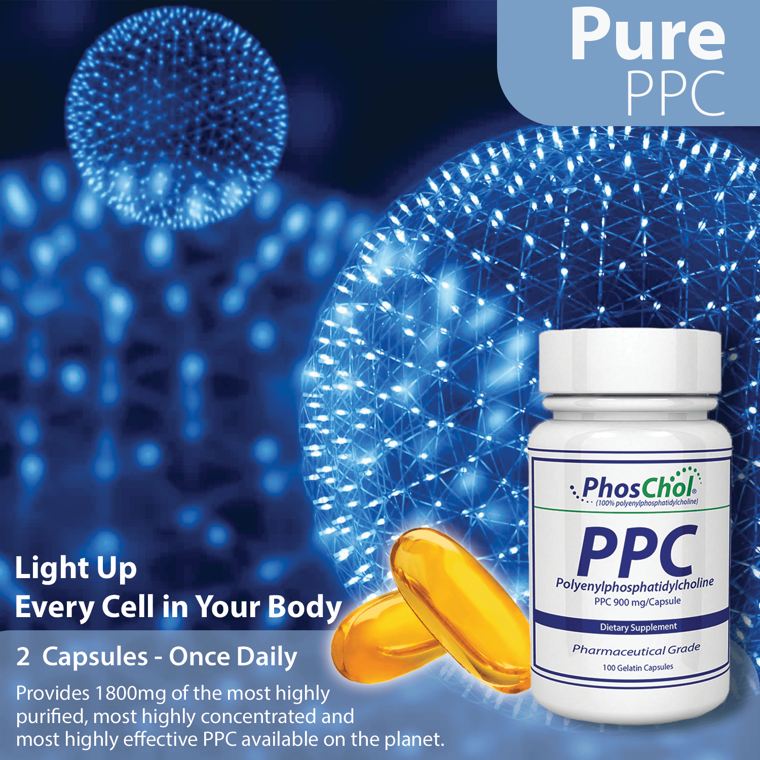 PhosChol 900 - 100Ct. Softgel 3 Pack Bundle Pharmaceutical Grade PPC - Nutrasal