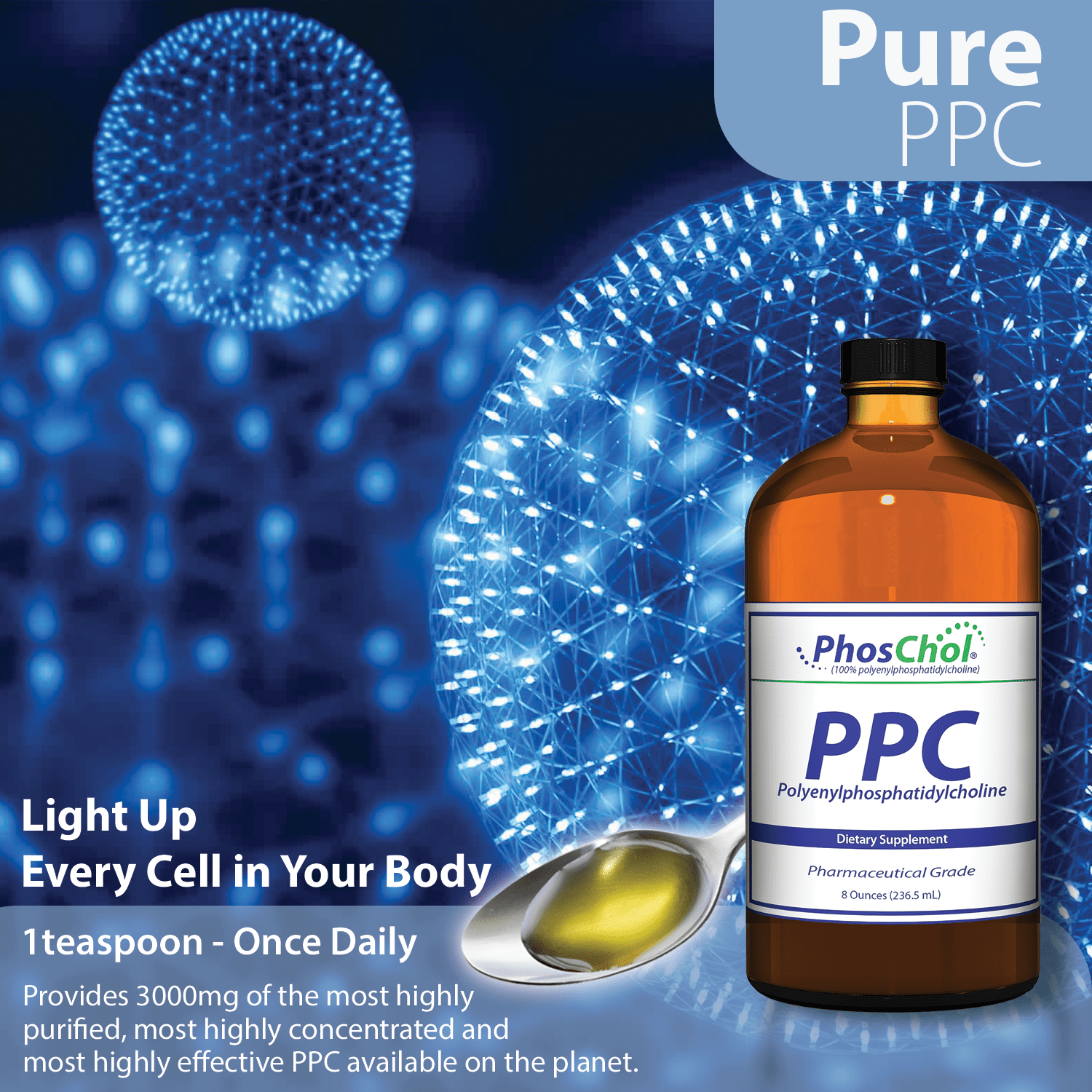 PhosChol Liquid Concentrate - 8oz. Pharmaceutical Grade PPC - Nutrasal