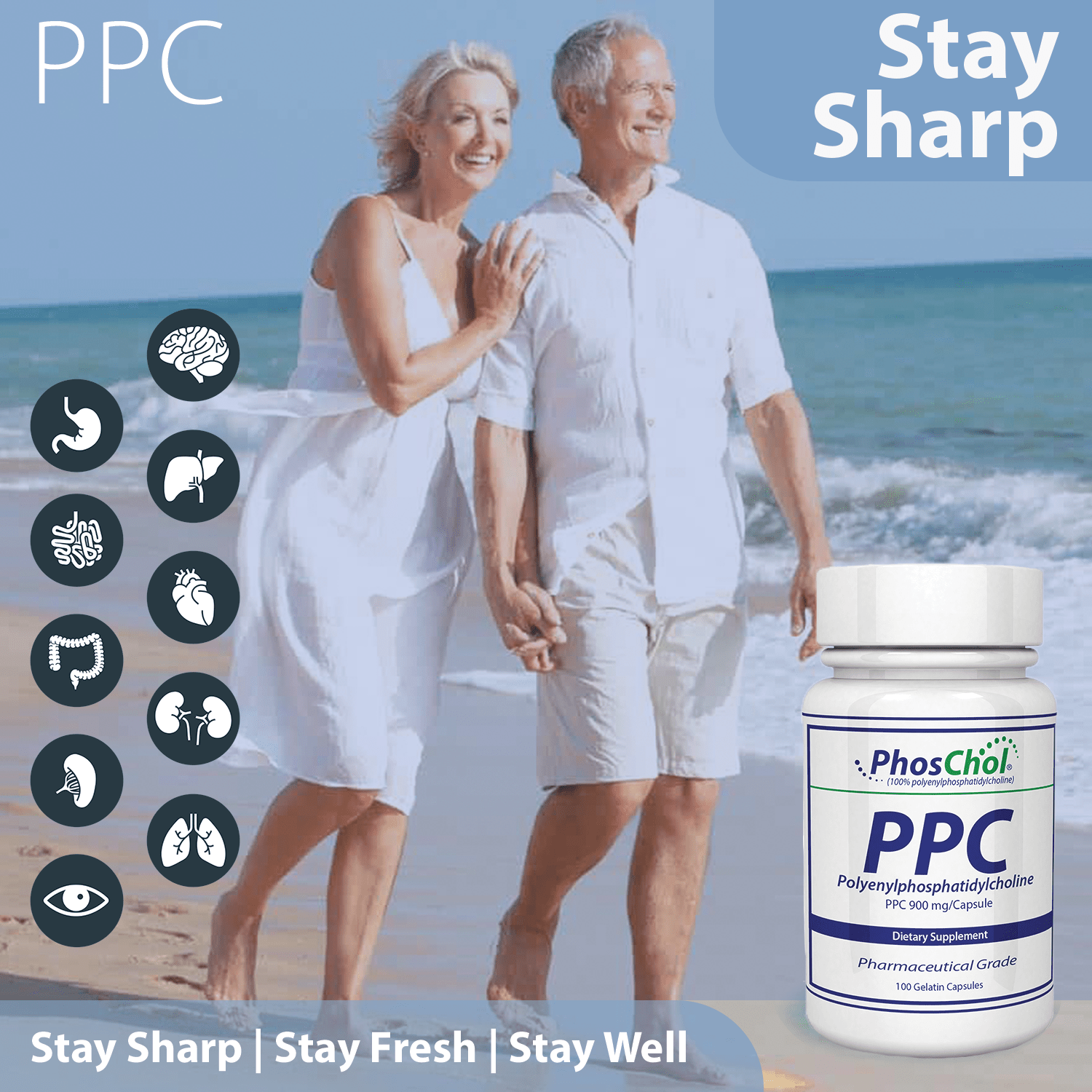 PhosChol Liquid Concentrate - 8oz. Pharmaceutical Grade PPC - Nutrasal